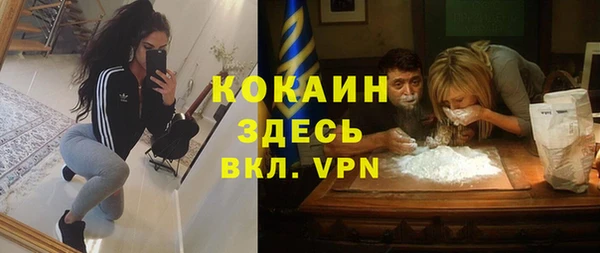сатива Аркадак